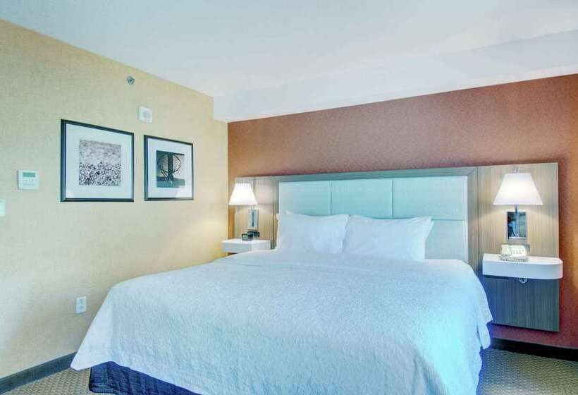 ホテル Hampton Inn & Suites Boston Crosstown Center