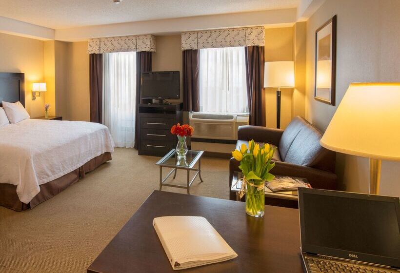ホテル Hampton Inn & Suites Boston Crosstown Center