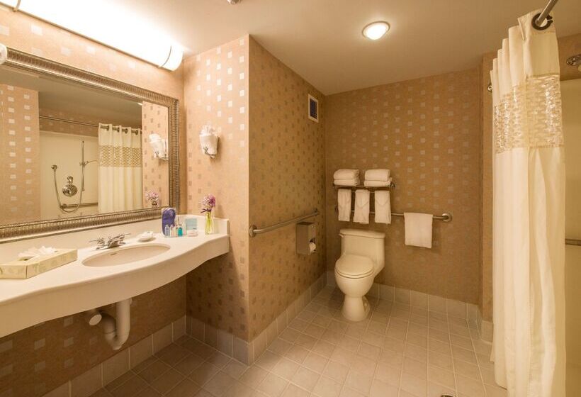 ホテル Hampton Inn & Suites Boston Crosstown Center