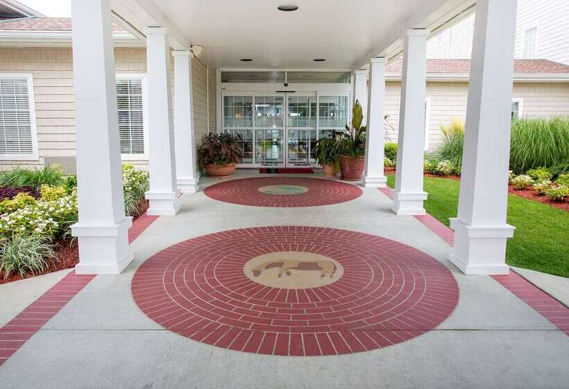 فندق Hampton Inn & Suites Chincoteaguewaterfront