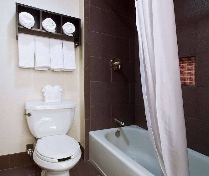 هتل Hampton Inn & Suites Columbusdowntown