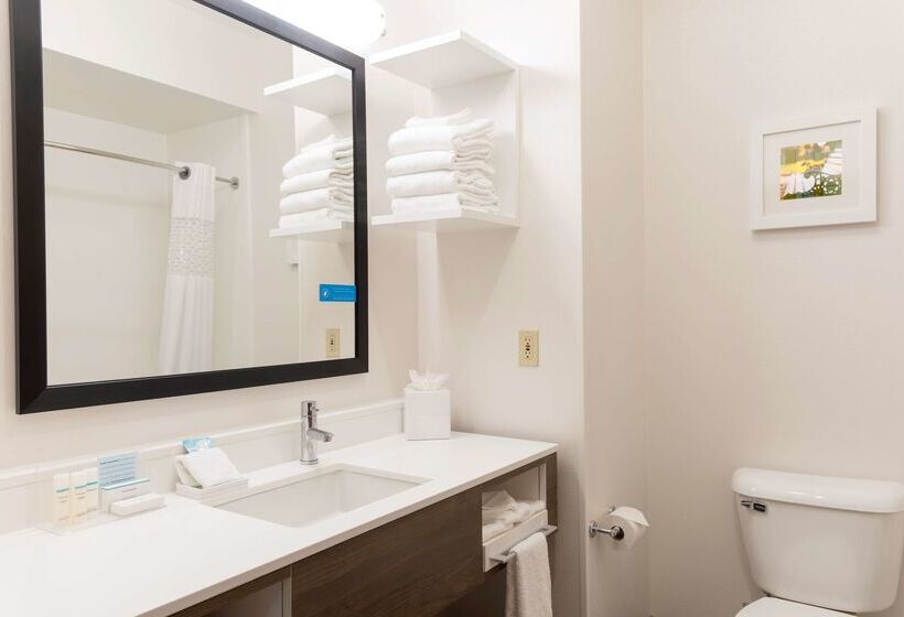 فندق Hampton Inn & Suites East Lansing/okemos
