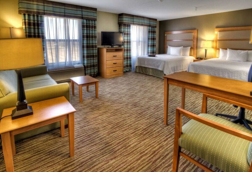 ホテル Hampton Inn & Suites Kalamazoooshtemo