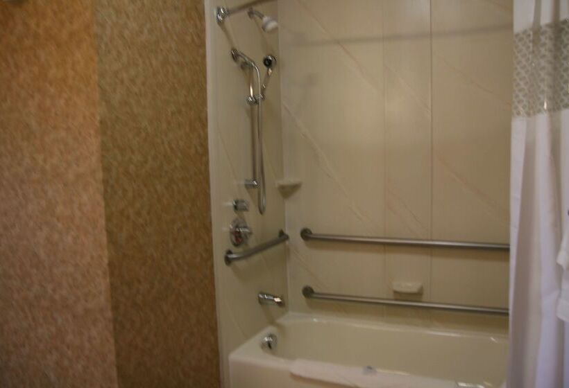 ホテル Hampton Inn & Suites Kalamazoooshtemo