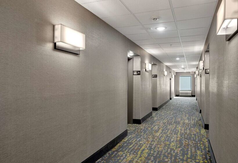 호텔 Hampton Inn & Suites Lufkin, Tx