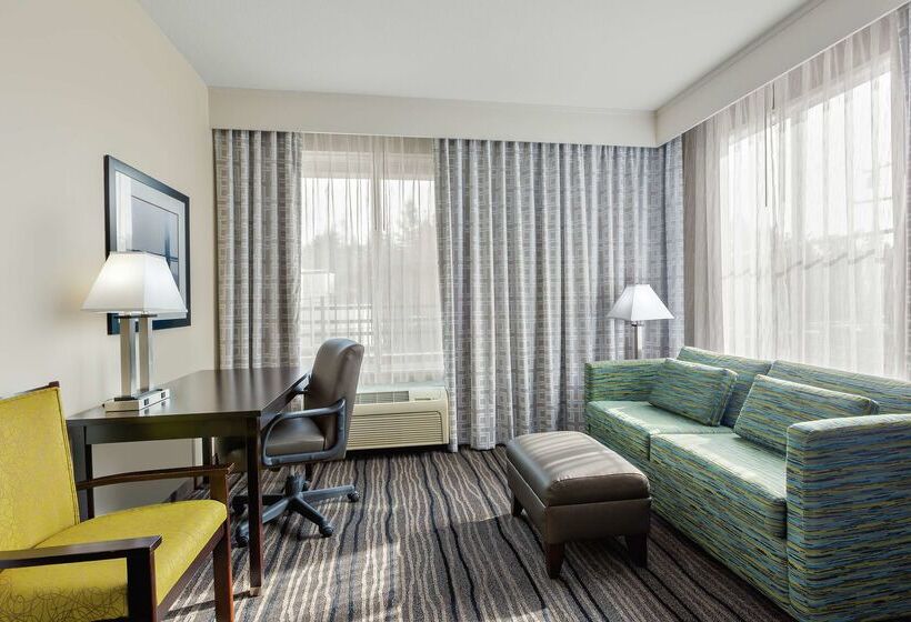Отель Hampton Inn & Suites Mountain View