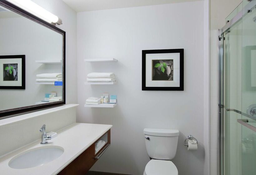 Отель Hampton Inn & Suites Mountain View