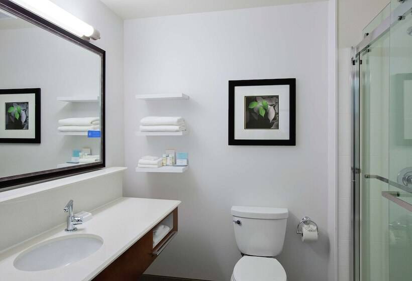 فندق Hampton Inn & Suites Mountain View