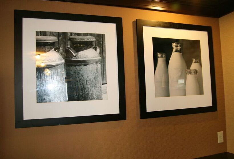 هتل Hampton Inn & Suites Oxfordanniston