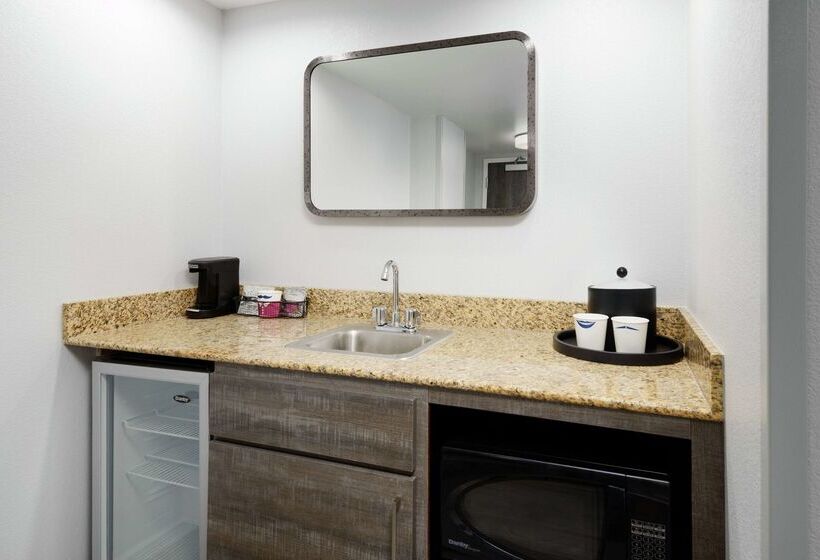 בית מלון כפרי Hampton Inn & Suites Tampa/ybor City/downtown