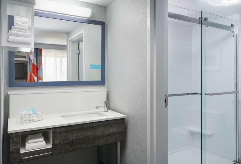 בית מלון כפרי Hampton Inn & Suites Tampa/ybor City/downtown