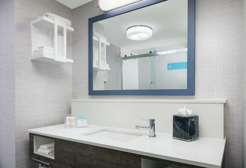 בית מלון כפרי Hampton Inn & Suites Tampa/ybor City/downtown