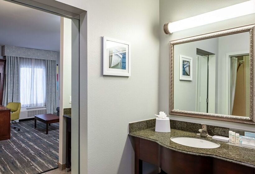 فندق Hampton Inn & Suites Texarkana