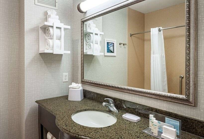 فندق Hampton Inn & Suites Texarkana