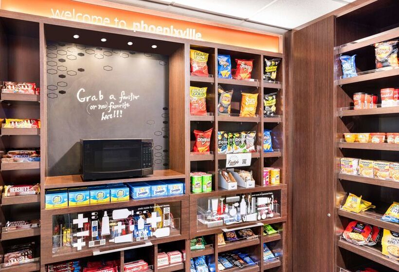 בית מלון כפרי Hampton Inn & Suites Valley Forge/oaks