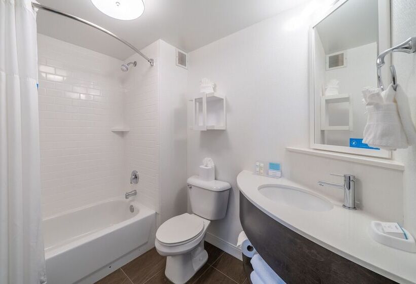 בית מלון כפרי Hampton Inn & Suites Valley Forge/oaks