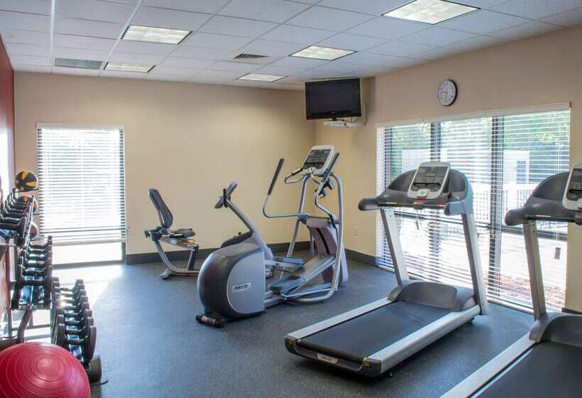 فندق Hampton Inn Tampaveterans Expwy