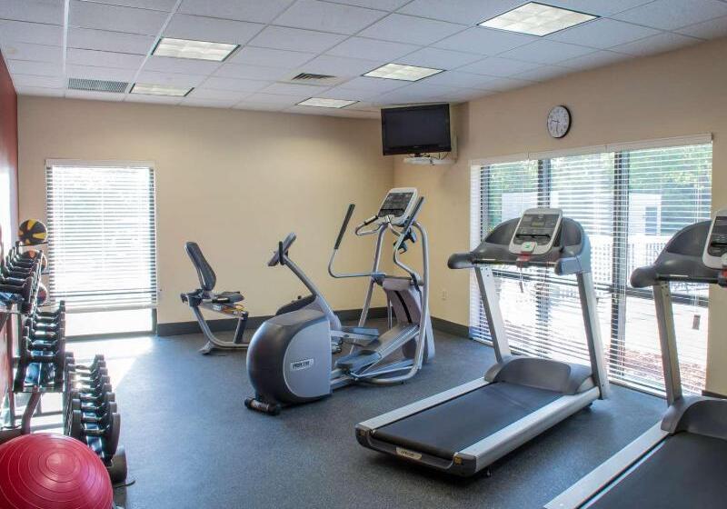 فندق Hampton Inn Tampaveterans Expwy