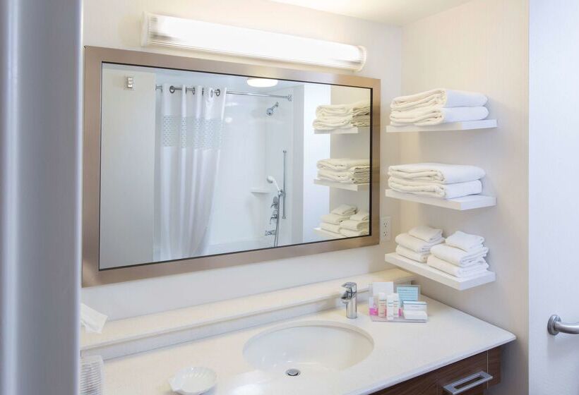 ホテル Hampton Inn By Hilton Troy