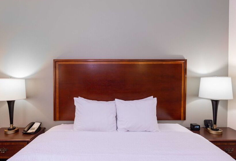 فندق Hampton Inn Winstonsalem Hanes Mall