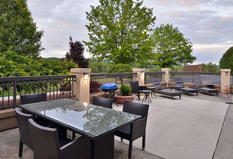 فندق Hampton Inn Wytheville