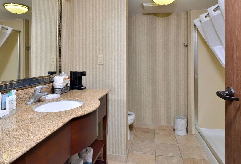 فندق Hampton Inn Wytheville