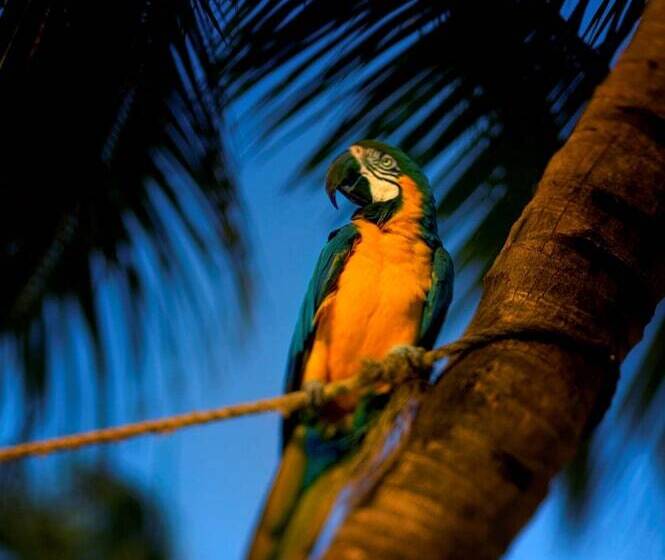 ホテル Hyatt Centric Key West Resort & Spa