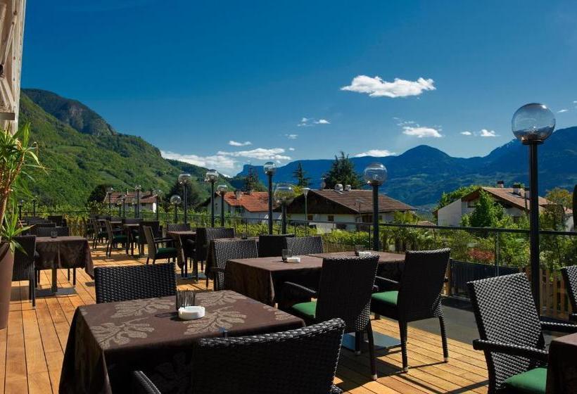 בית מלון כפרי Ladurner