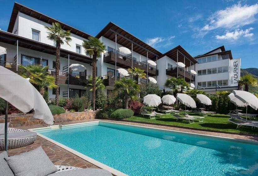 בית מלון כפרי Ladurner