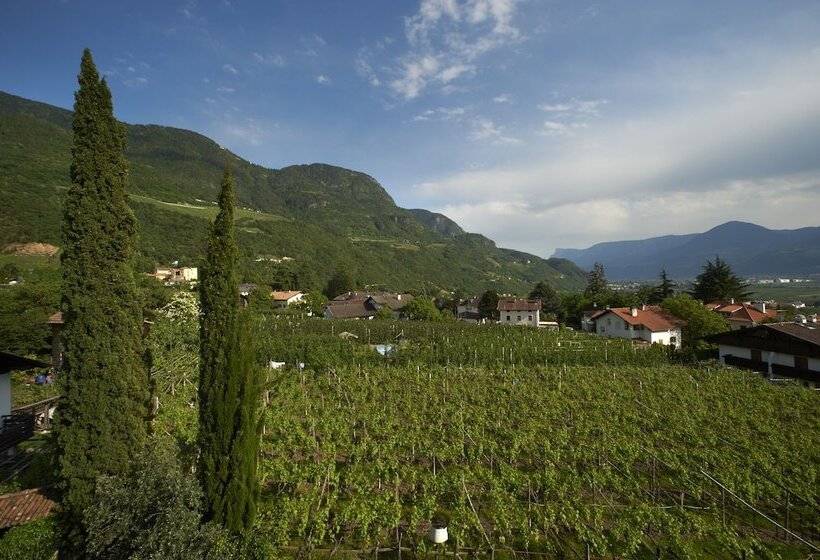 בית מלון כפרי Ladurner