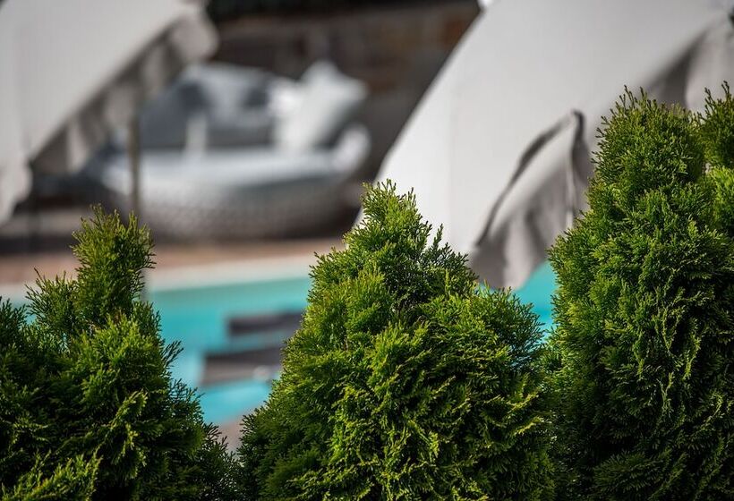 בית מלון כפרי Ladurner