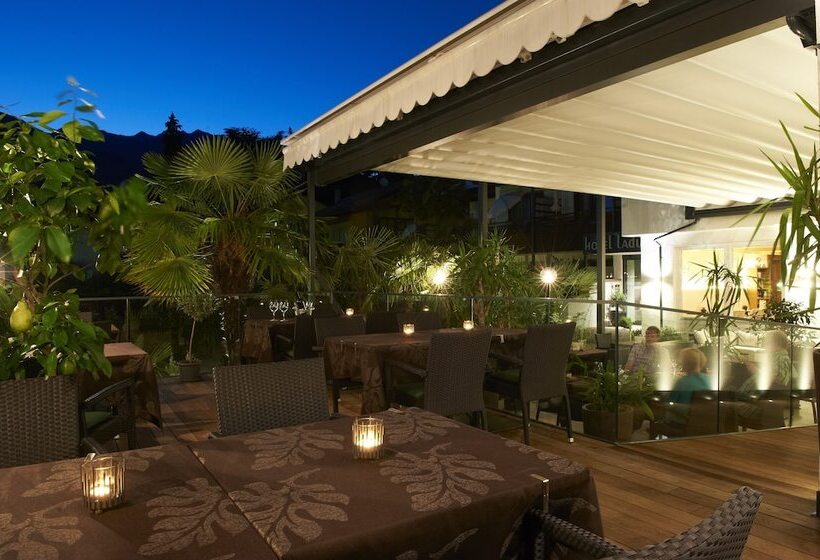 בית מלון כפרי Ladurner