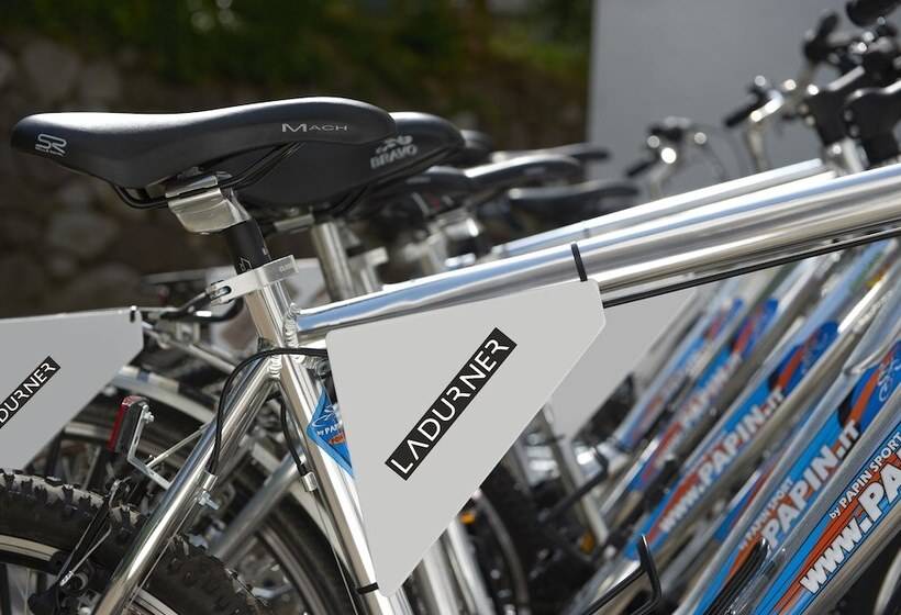 בית מלון כפרי Ladurner