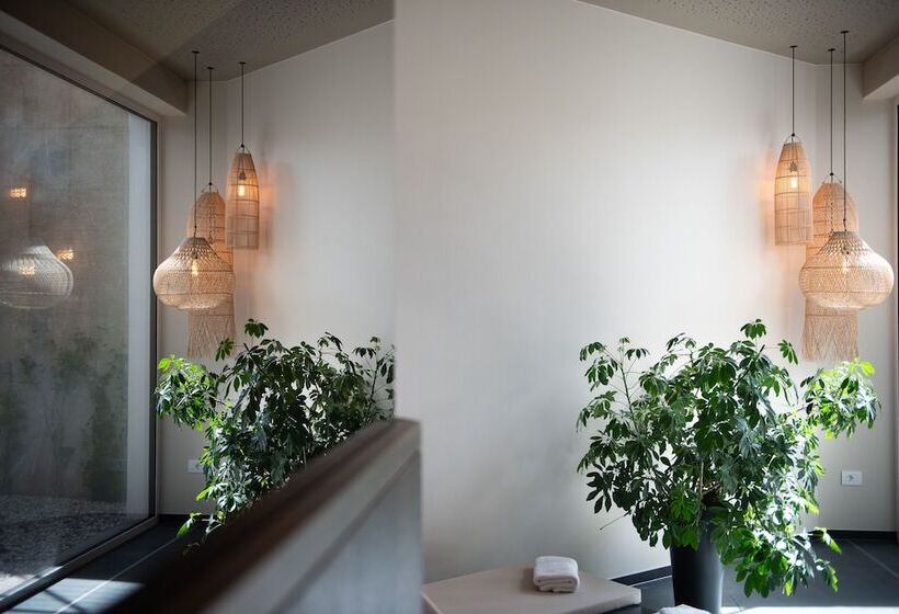 בית מלון כפרי Ladurner