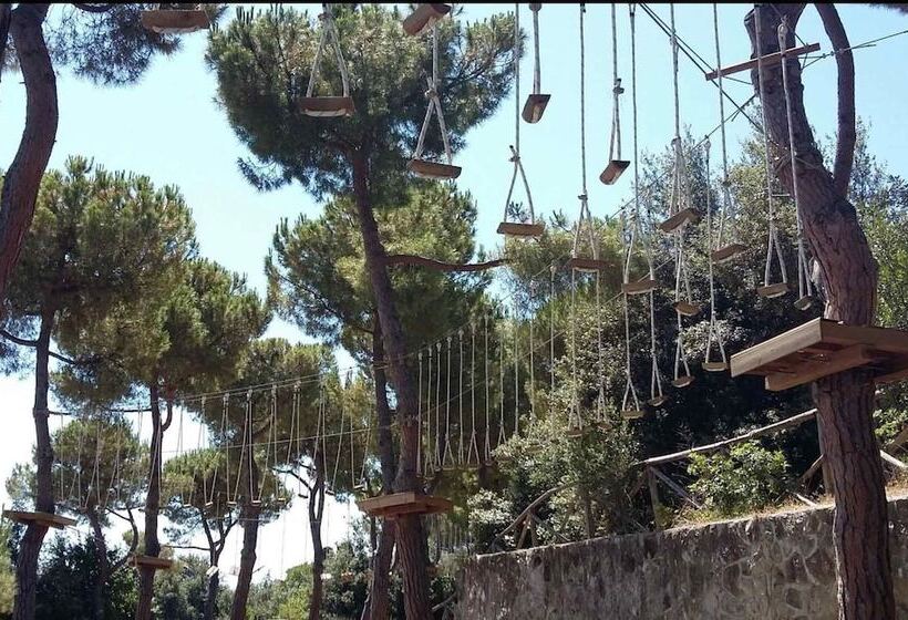 酒店 Mare Blu    Boutique