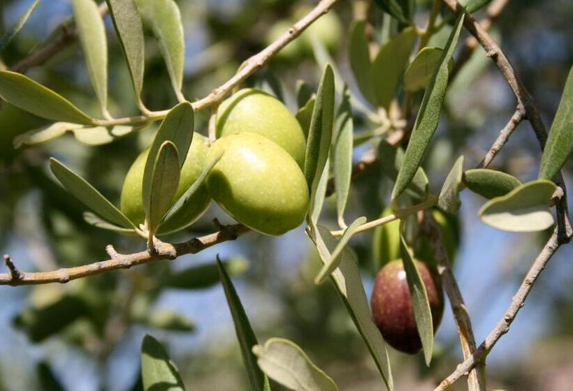 호텔 Masseria Degli Ulivi   Noto