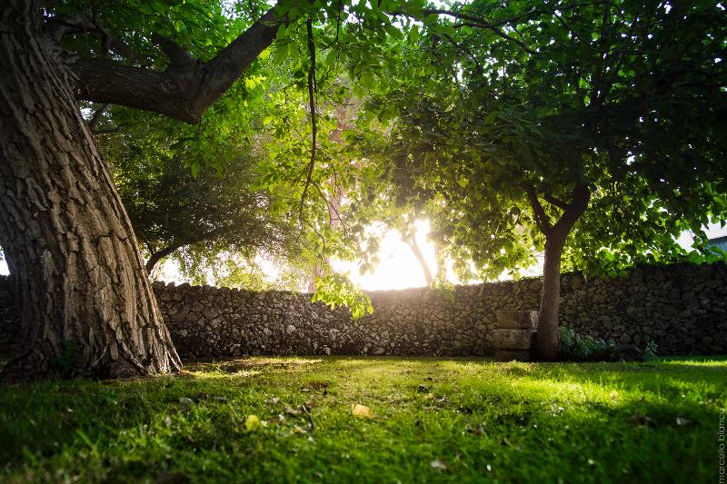 호텔 Masseria Degli Ulivi   Noto