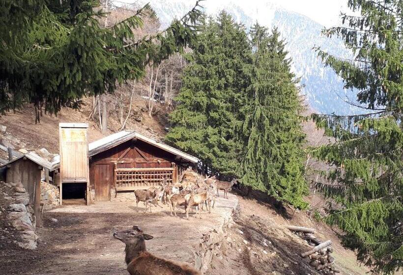 בית מלון כפרי Ortles Dolomiti Walking & Spa