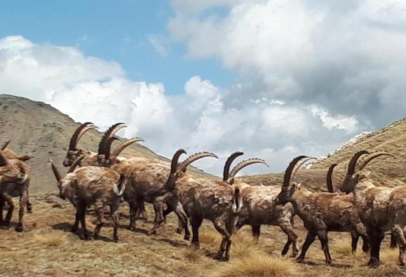 בית מלון כפרי Ortles Dolomiti Walking & Spa