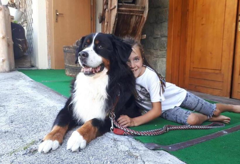 בית מלון כפרי Ortles Dolomiti Walking & Spa