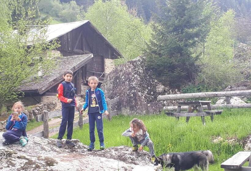 בית מלון כפרי Ortles Dolomiti Walking & Spa