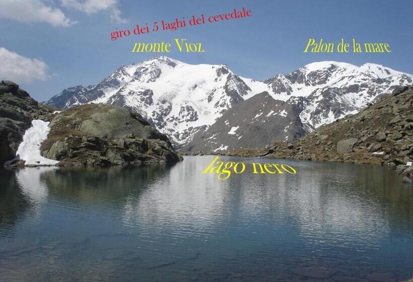 בית מלון כפרי Ortles Dolomiti Walking & Spa