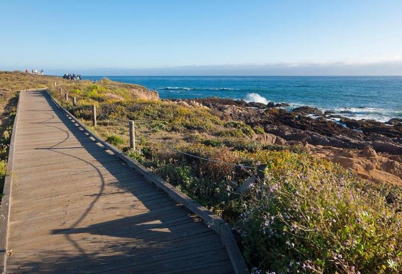 호텔 Pelican Inn & Suites