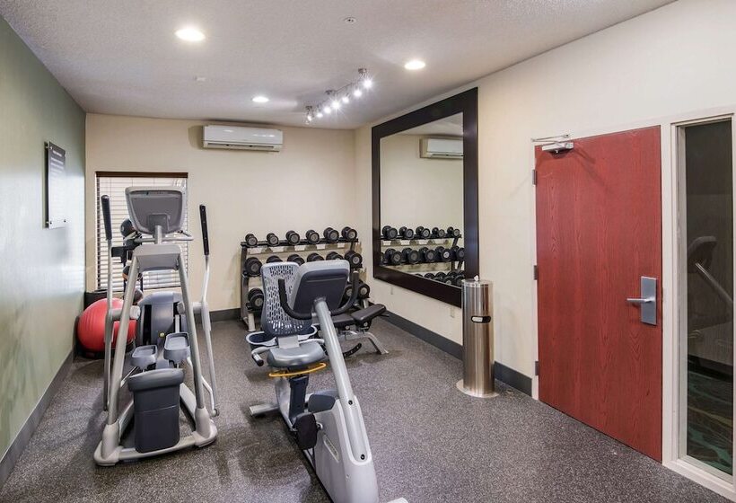 בית מלון כפרי Quality Inn & Suites Quincy  Downtown