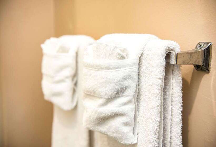 酒店 Suburban Studios Charlotteballantyne