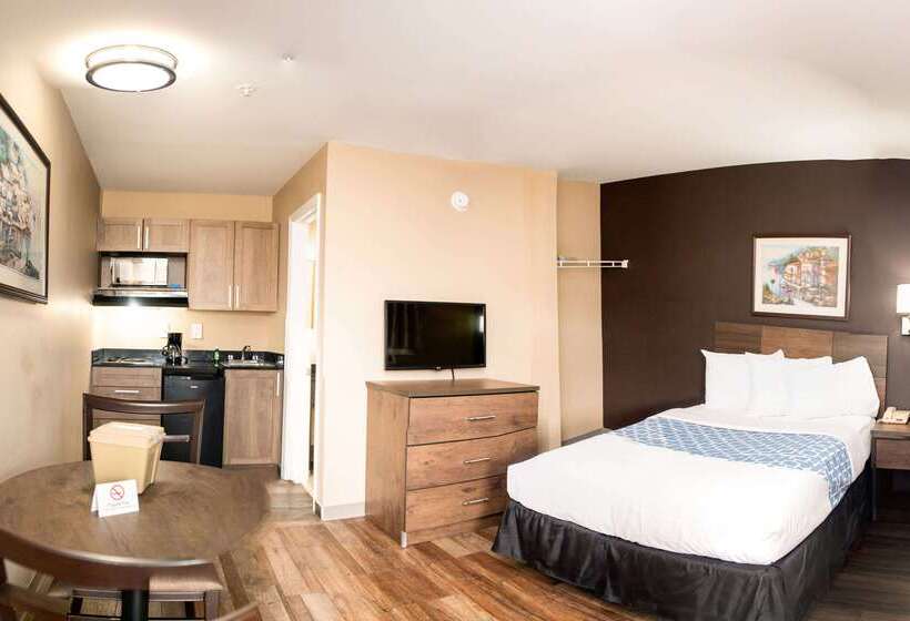 酒店 Suburban Studios Charlotteballantyne