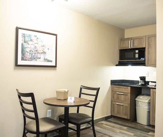 酒店 Suburban Studios Charlotteballantyne