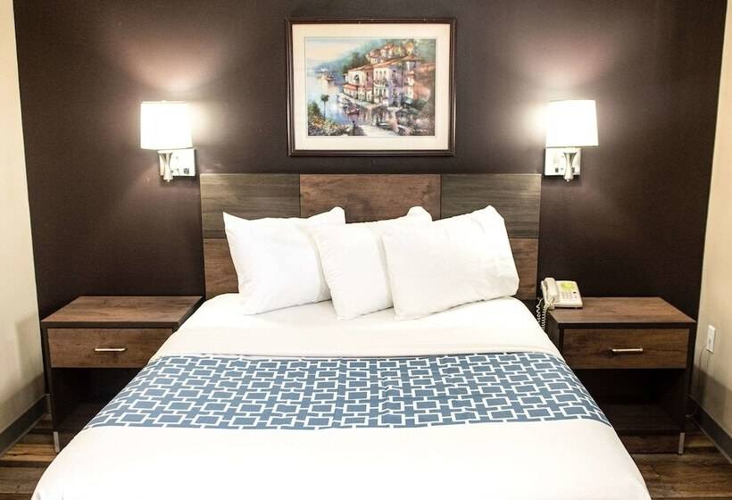 酒店 Suburban Studios Charlotteballantyne