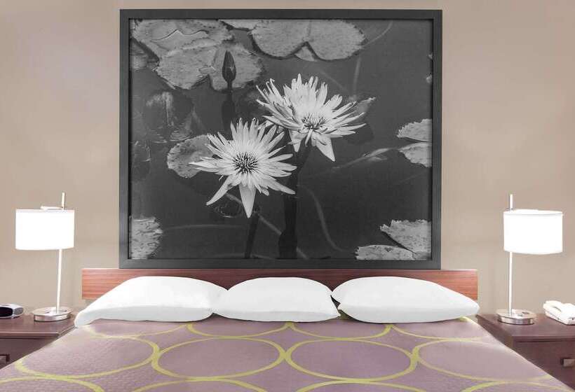 فندق Super 8 By Wyndham Bay St. Louis