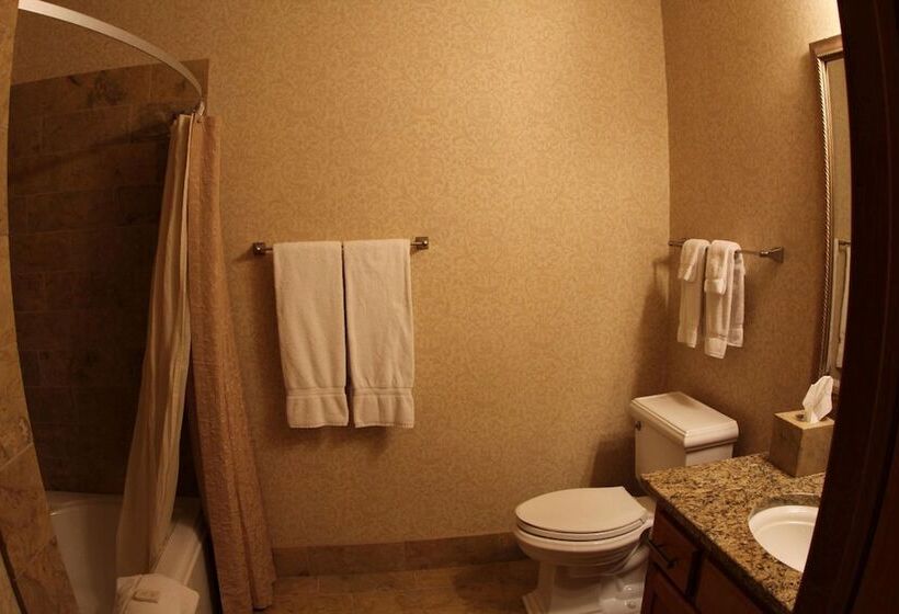 فندق The Osthoff Resort